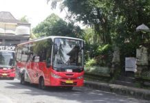Dishub Gianyar Buka Trayek Bus Trans Metro Dewata Rute Ubud-Denpasar