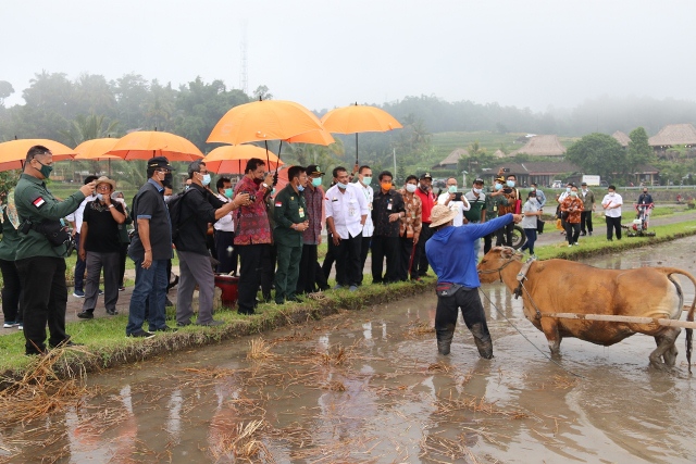 Menteri Pertanian: Perkuat Pertanian dengan Pelestarian Adat Budaya