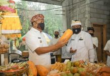 Bupati Gianyar Resmikan Pasar Puaya Sukawati