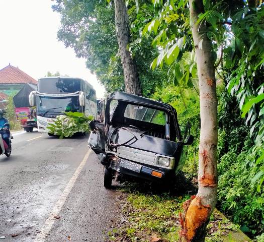 Hindari Tabrakan dengan Motor di Banyubiru, Pick Up Tabrak Pohon