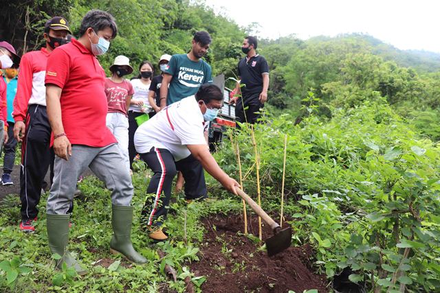 Jaga Ekosistem Bukit Desa Les, Pemkab Buleleng Tanam 1500 Pohon