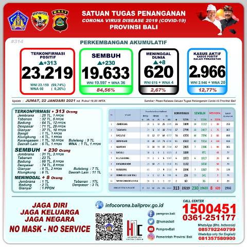 Update Covid-19, Jumat 22 Januari: Kasus Baru Bertambah 313, Sembuh 230 Orang, 8 Meninggal