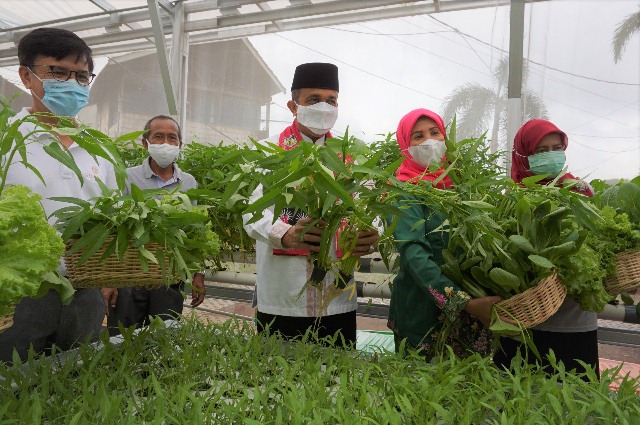 Bentuk Urban Farming, Sarana Jaya Selalu Hadir di Tengah Pandemi