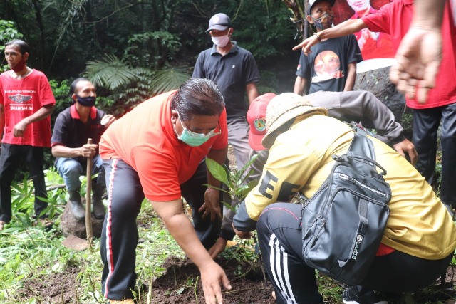 Tanam Pohon Beri Manfaat untuk Masyarakat