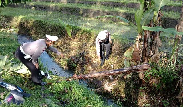 Kecelakaan Tunggal, Pemotor Tewas Tabrak Pohon di Buruan