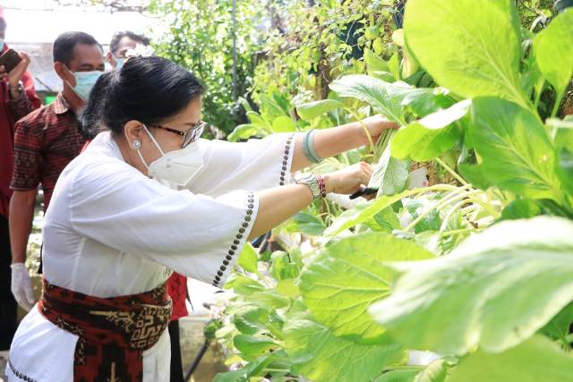 Putri Koster Harap BPTP Bali Terus Kembangkan Hasil Pertanian Bali