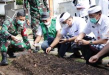 Sebagai Bahan Pangan Alternatif Bupati Sanjaya Perkenalkan Tanaman Sorgum Sebagai Bahan Pangan Alternatif Bupati Sanjaya Perkenalkan Tanaman Sorgum