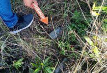 Polisi Selidiki WNA Viral Adegan Mesum di Area Gunung Batur WNA Mesum