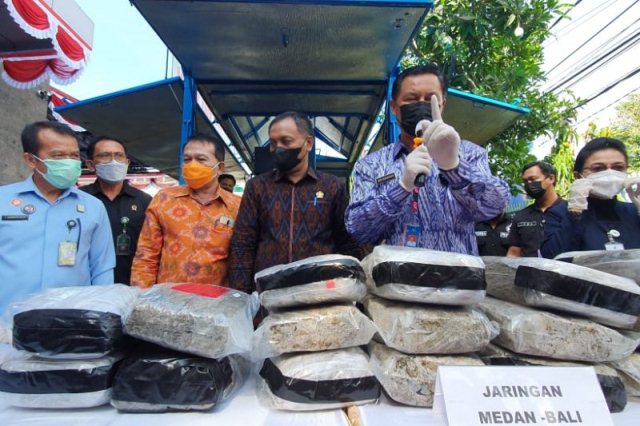 BNNP Bali Musnahkan 48 Kg Ganja Jaringan Lapas Lintas Provinsi