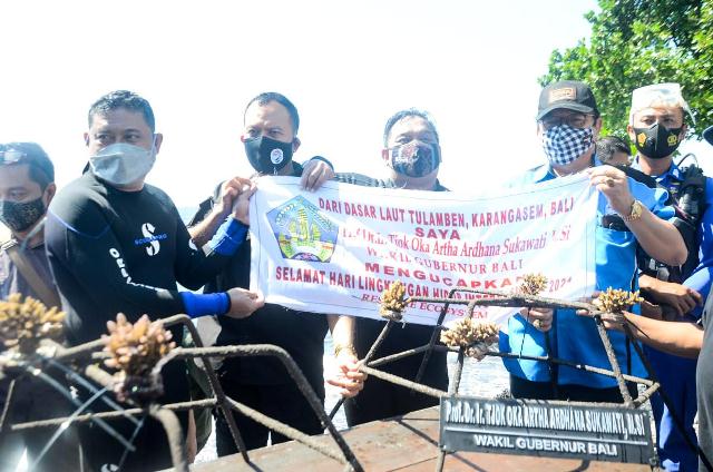 Peringati World Environment Day, Wagub Cok Ace Tanam Terumbu Karang di Tulamben