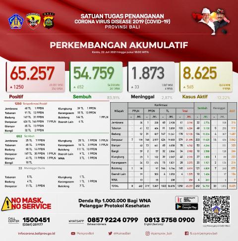 Update Covid-19 di Bali, Terkonfirmasi Bertambah 1.250 Orang, Sembuh 652 Orang, 33 Orang Meninggal