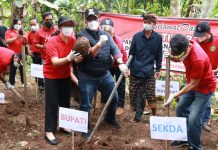Panen Perdana, Bupati Sanjaya Optimis Budidaya Porang Dapat Berkembang di Tabanan