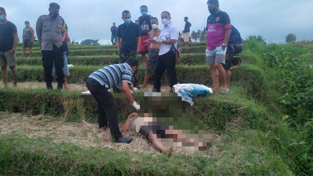 Pamit ke Sawah Cari Abu Jerami, Pria Ini Ditemukan Tewas