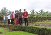 Wabup Edi Berkomitmen Memajukan Sektor Pertanian di Tabanan wabup
