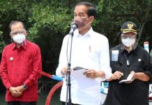 Gubernur Bali Dampingi Presiden Jokowi Meninjau Penanaman Mangrove Gubernur Bali Dampingi Presiden Jokowi Meninjau Penanaman Mangrove