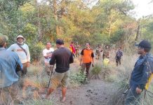 Tim Gabungan Berhasil Padamkan Kebakaran Lahan dan Semak Gunung Batur Tim Gabungan Berhasil Padamkan Kebakaran Lahan dan Semak Gunung Batur
