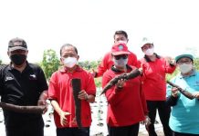 Peringati Hari Pangan Sedunia, Gubernur Koster Ajak Stop Impor Beras dan Garam Peringati Hari Pangan Sedunia, Gubernur Koster Ajak Stop Impor Beras dan Garam
