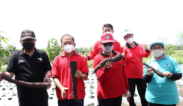 Peringati Hari Pangan Sedunia, Gubernur Koster Ajak Stop Impor Beras dan Garam