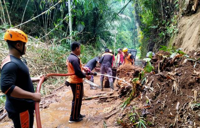 Hujan Deras, Rumpun Bambu Tumbang Tutupi Akses Jalan