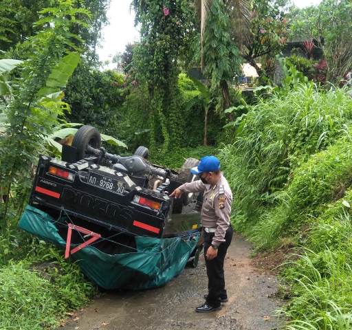 Pick Up Muatan Mangga Terguling di Belimbing