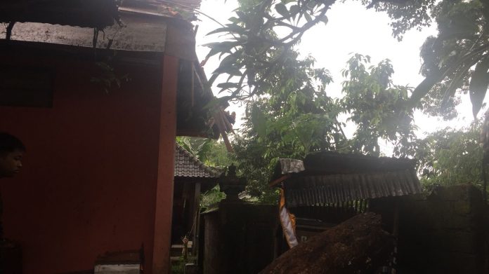 Pohon Bunut Tumbang Timpa Bangunan Pura Dalem Wisese