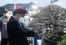 Bupati Tabanan Harap Festival Bonsai Jadi Ajang Pelestarian Lingkungan Bupati Tabanan Harap Festival Bonsai Jadi Ajang Pelestarian Lingkungan