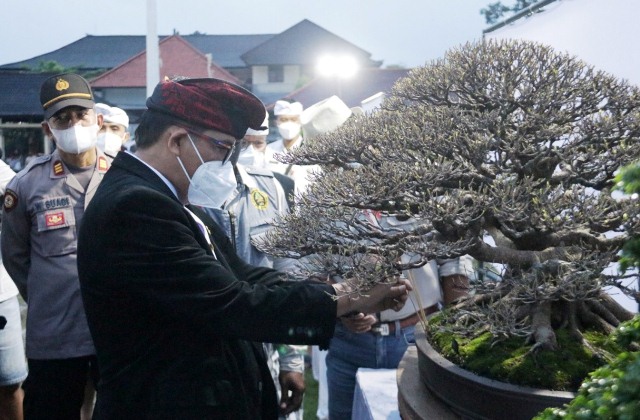 Bupati Tabanan Harap Festival Bonsai Jadi Ajang Pelestarian Lingkungan