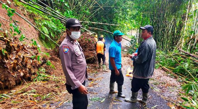 Serumpun Bambu Tumbang Tutupi Akses Jalan Desa Angseri