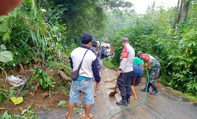 Sigap, Personel Gabungan TNI-Polri Evakuasi Pohon Tumbang di Baturiti