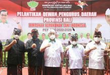 Wagub Cok Ace Minta Pengurus Baru HKTI Fokus Penuhi Kebutuhan Pangan Krama Bali Wagub Cok Ace Minta Pengurus Baru HKTI Fokus Penuhi Kebutuhan Pangan Krama Bali