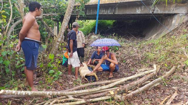 Mobil Box Tabrak Pejalan Kaki hingga Tewas Terpental Masuk Jembatan 