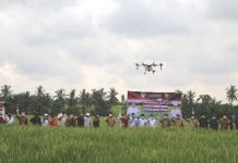 Drone Penyemprot Pupuk Cair Siap Beraksi di Tabanan Drone Penyemprot Pupuk Cair Siap Beraksi di Tabanan