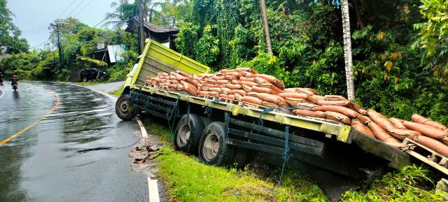 Tak Kuat Nanjak, Truk Mundur dan Terperosok di Samsam