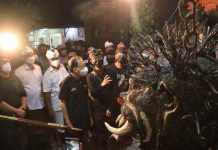 Gubernur Koster Secara Spontan Tinjau 4 Ogoh-Ogoh Gubernur Koster Secara Spontan Tinjau 4 Ogoh-Ogoh