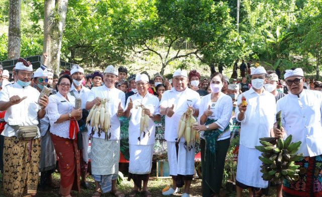 Gubernur Bali Gelar Perayaan Rahina Tumpek Wariga di Pura Pegubugan, Desa Manistutu, Jembrana