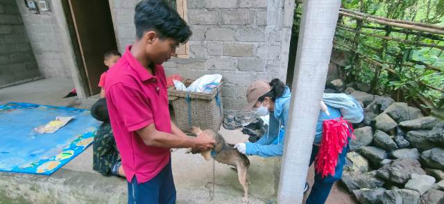 Bupati Buleleng Instruksikan Desa dan Desa Adat Segera Buat Aturan Tentang Rabies