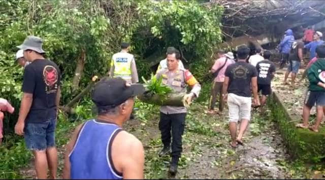 Pohon Beringin Berusia Ratusan Tahun di Pura Puseh Pagi Tumbang