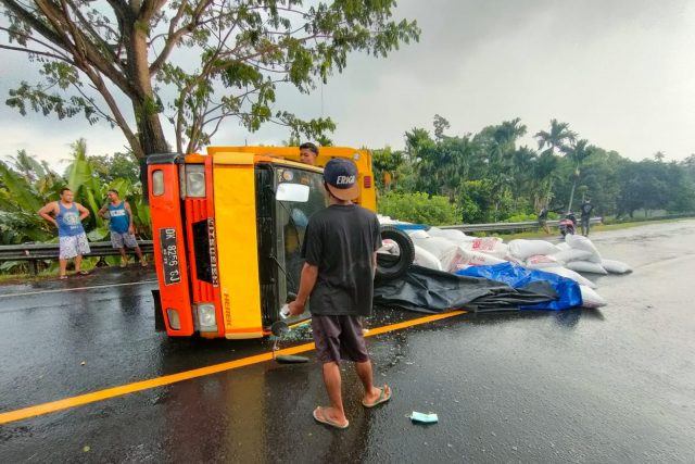 Truk Muatan Pakan Terguling di Tanjakan Sumbersari