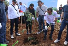Bersama Saint Gobain, Edi Wirawan Tanam 1.000 Pohon Durian Bersama Saint Gobain, Edi Wirawan Tanam 1.000 Pohon Durian