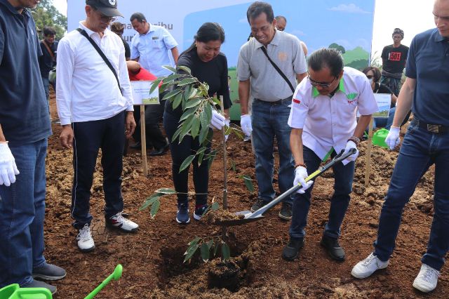 Bersama Saint Gobain, Edi Wirawan Tanam 1.000 Pohon Durian