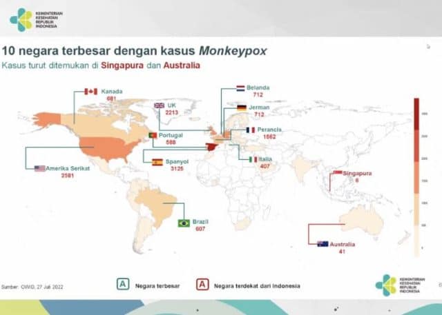 Kemenkes: Kasus Cacar Monyet Belum Ditemukan di Indonesia