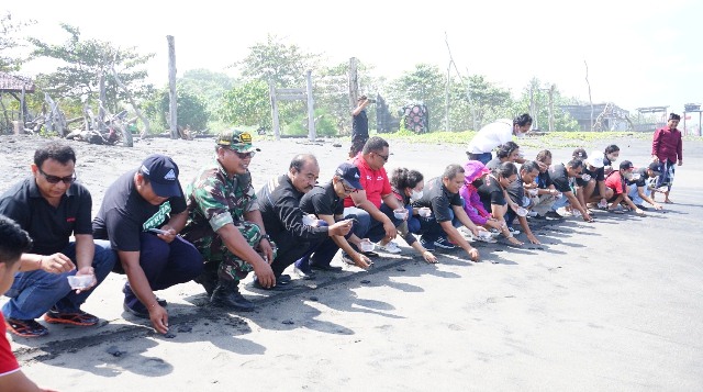 Sambut HUT RI, Pewarta Lepas 77 Ekor Tukik di Pantai Yeh Gangga