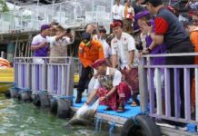 Bulan Bakti Forum Pengurangan Risiko Bencana Diharapkan Bisa Rangkul Semua Pihak Forum Pengurangan Risiko Bencana
