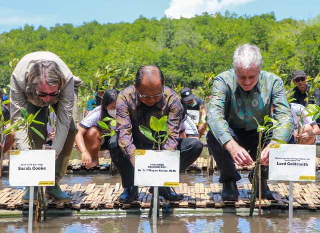 Gubernur Koster Dampingi Menteri Energi, Iklim dan Lingkungan Inggris serta Menteri LHK RI Tanam Mangrove di Simbar Segara