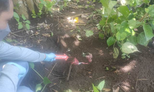 Nelayan Temukan Kerangka Manusia di Pantai Cupel