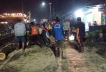 Hujan Deras dan Angin Kencang, Pohon Tumbang Tutup Akses Jalan Denpasar-Singaraja Pohon Tumbang