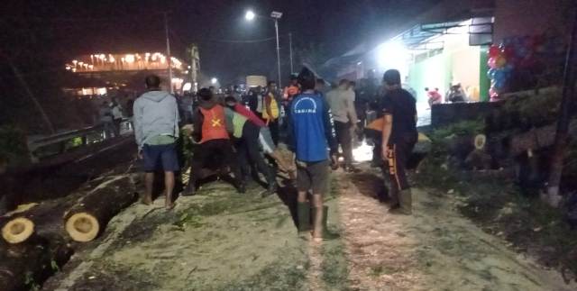 Hujan Deras dan Angin Kencang, Pohon Tumbang Tutup Akses Jalan Denpasar-Singaraja