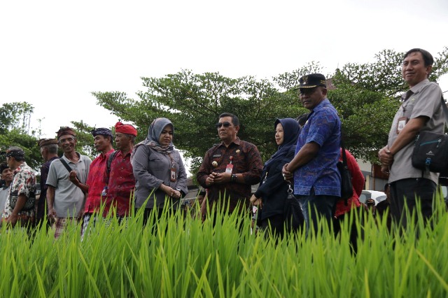 Penilaian Satyalancana Pembangunan, Bupati Sanjaya Paparkan Potensi Pertanian Tabanan