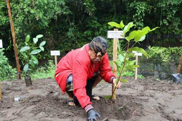 Ketua DPRD Tabanan Hadiri Penghijauan PDI Perjuangan Semangat Merawat Pertiwi