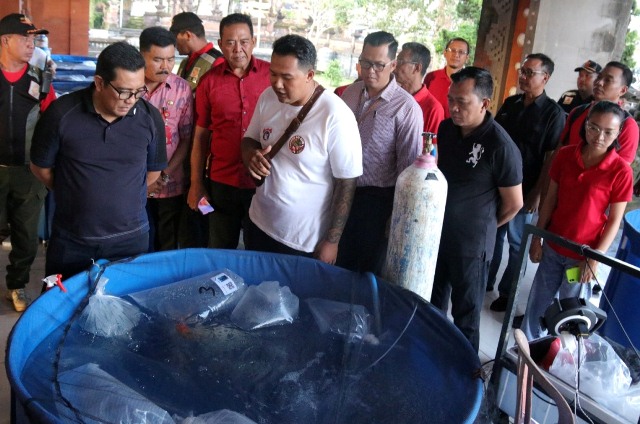 Diikuti Ribuan Peserta, Bupati Sanjaya Dukung Festival Ikan Koi